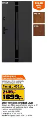OBI Drzwi zewnętrzne stalowe Silves oferta