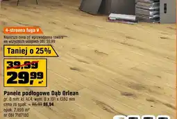 OBI Panele podłogowe Dąb Orlean oferta