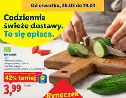 Lidl Ogórek 1 szt oferta