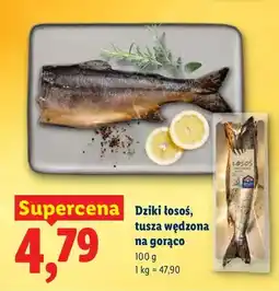 Lidl Dziki łosoś, tusza wędzona na gorąco oferta