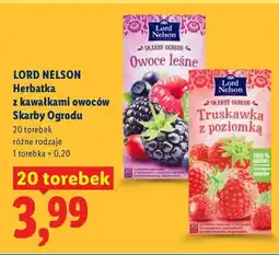 Lidl Herbatka z kawałkami owoców Skarby Ogrodu różne rodzaje oferta