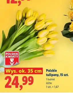 Lidl Polskie tulipany wys. ok. 35 cm oferta