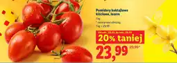 Lidl Pomidory koktajlowe kiściowe, luzem oferta