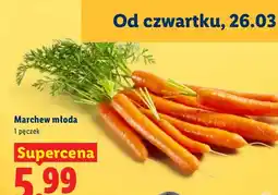 Lidl Marchew młoda, pęczek oferta