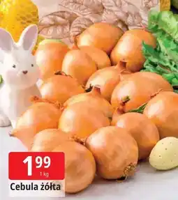 E.Leclerc Cebula żółta oferta