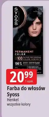 E.Leclerc Farba do włosów oferta