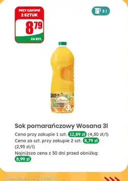 Dino Sok pomarańczowy oferta