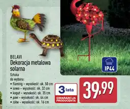 ALDI Dekoracja Belavi oferta