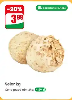 Dino Seler luz oferta