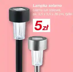 KiK Lampka solarna oferta