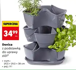Biedronka Donica oferta