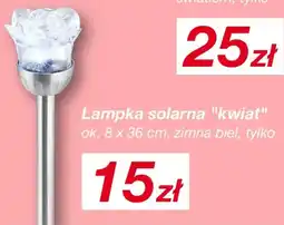 KiK Lampka solarna "kwiat" oferta