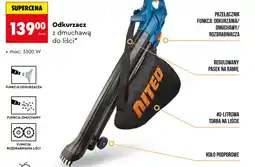 Biedronka Odkurzacz do liści Koło oferta