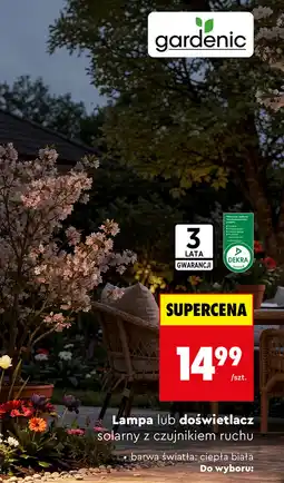 Biedronka Lampa solarna Gardenic oferta