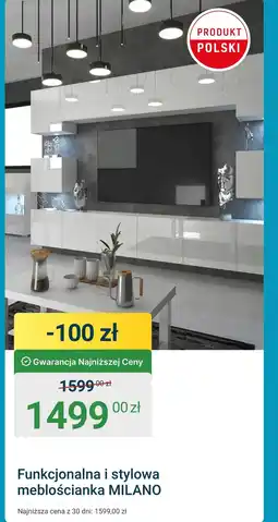 ERLI Meblościanka Milano oferta