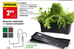 Biedronka Skrzynka na kwiaty oferta