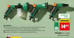 Biedronka Pistolet natryskowy oferta