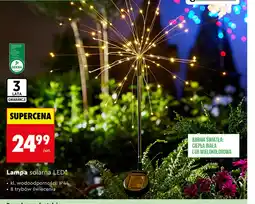 Biedronka Lampa solarna Barwa oferta