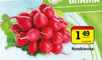 Gram Market Rzodkiewka pęczek oferta