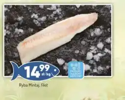 Avita Ryba Mintaj filet oferta