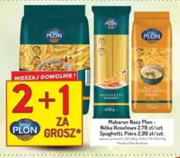 Avita Nasz Plon Makaron oferta