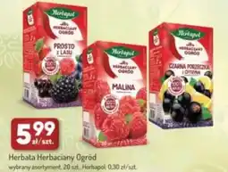 Avita Herbapol Herbaciay Ogród oferta