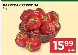 Stokrotka Papryka czerwona oferta