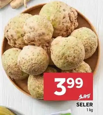 Stokrotka Seler oferta