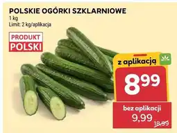 Stokrotka Ogórki szklarniowe polskie oferta