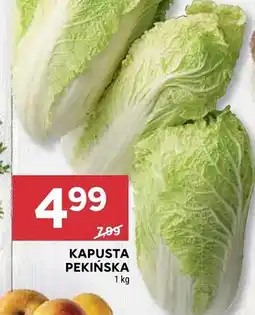 Stokrotka Kapusta pekińska oferta