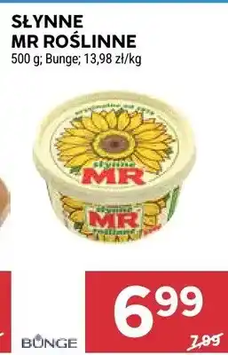 Stokrotka Słynne mr roślinne oferta