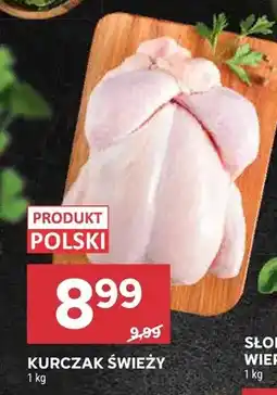 Stokrotka Kurczak świeży oferta
