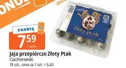 E.Leclerc Jaja przepiórcze Czachorowski oferta