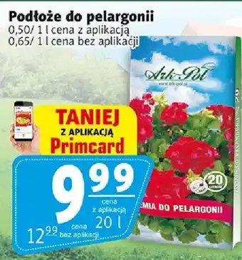 Prim Market Podłoże do pelargonii oferta