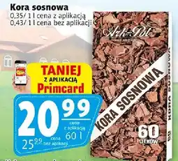 Prim Market Kora sosna oferta
