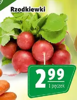 Prim Market Rzodkiewki oferta