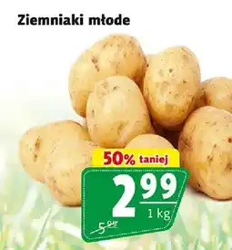 Prim Market Ziemniaki młode oferta