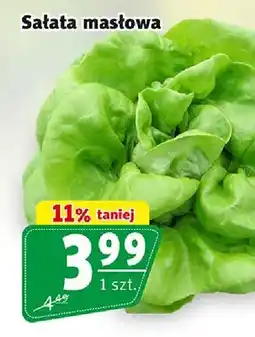 Prim Market Sałata masłowa oferta