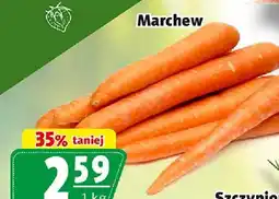 Prim Market Marchew oferta