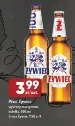 Avita Piwo Zywiec oferta