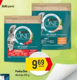 Delikatesy Piotruś Pan Purina One dla kota oferta