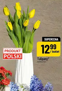 Polomarket Tulipany buklet oferta