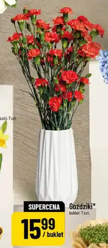 Polomarket Goździki bukiet oferta