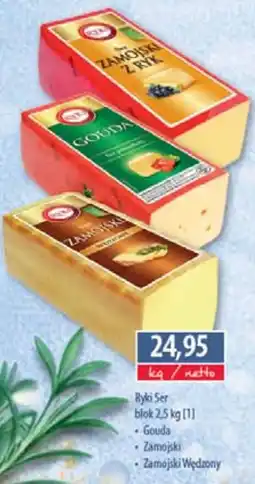 DUO-TES Ryki Ser oferta