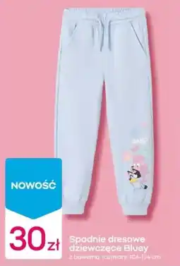 Pepco Spodnie dresowe dziewczęce Bluey oferta