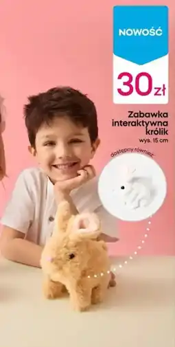 Pepco Zabawka interaktywna królik oferta