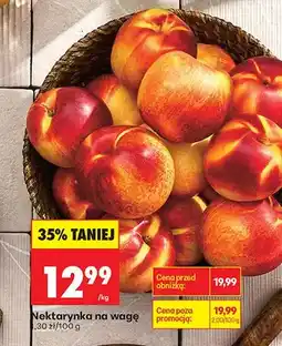Biedronka Nektarynka oferta