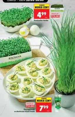 Biedronka Rzeżucha tacka oferta