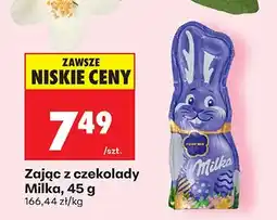 Biedronka Zając z czekolady oferta