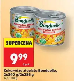Biedronka Kukurydza złocista oferta